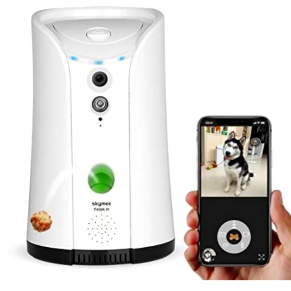 Skymee Petalk AI